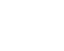 icon-0